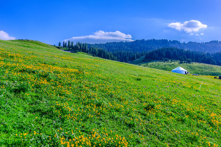 Photographed at the Sailimu Lake Scenic Area, Bole City, Bortala Mongol Autonomous Prefecture, Xinjiang, China.の写真素材