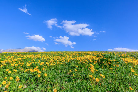 Photographed at the Sailimu Lake Scenic Area, Bole City, Bortala Mongol Autonomous Prefecture, Xinjiang, China.の写真素材