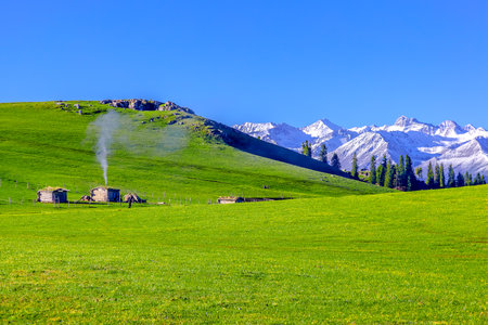 Photographed at the Karajun grassland, a world natural heritage site in Tekes County, Ili Kazakh Autonomous Prefecture, Xinjiang, China.の写真素材
