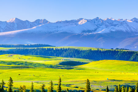Photographed at the Karajun grassland, a world natural heritage site in Tekes County, Ili Kazakh Autonomous Prefecture, Xinjiang, China.の写真素材
