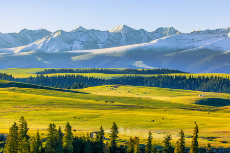 Photographed at the Karajun grassland, a world natural heritage site in Tekes County, Ili Kazakh Autonomous Prefecture, Xinjiang, China.の写真素材
