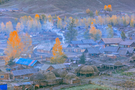 Photographed in Baihaba Village, Kanas Scenic Area, Baihaba County, Altai, Xinjiang, China.