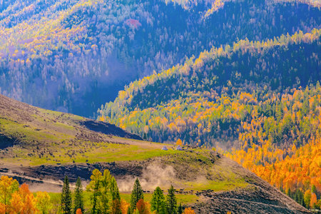 Photographed in Kanas Scenic Area, Burqin County, Altai Prefecture, Xinjiang, China.