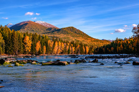 Photographed in Kanas Scenic Area, Burqin County, Altai Prefecture, Xinjiang, China.