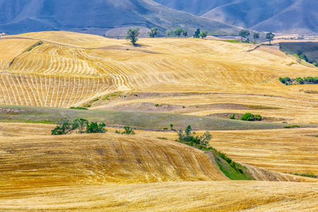 Photographed at Jiangbulake Scenic Area, Muli County, Changji Hui Autonomous Prefecture, Xinjiang, China.の写真素材