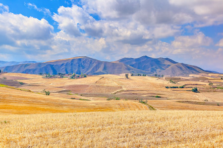 Photographed at Jiangbulake Scenic Area, Muli County, Changji Hui Autonomous Prefecture, Xinjiang, China.の写真素材