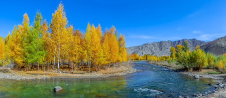 Photographed in Keketuohai Town, Fuyun County, Altai Prefecture, Xinjiang, China.の写真素材