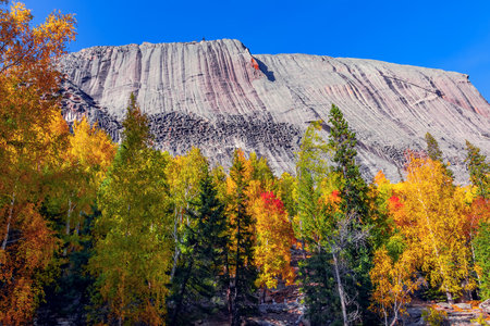 Colorful fall foliage in United States.の写真素材