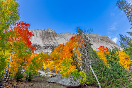 Photographed in Keketuohai Town, Fuyun County, Altai Prefecture, Xinjiang, China.の写真素材