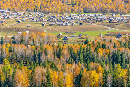 Photographed in Hemu Village, Burqin County, Altai Prefecture, Xinjiang, China.の写真素材