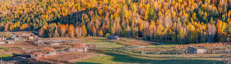 Photographed in Hemu Village, Burqin County, Altai Prefecture, Xinjiang, China.