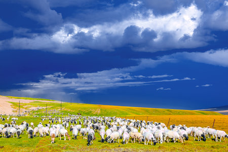 Taken in Bayinbuluke Town, Hejing County, Bayingolin Mongol Autonomous Prefecture, Xinjiang, China.