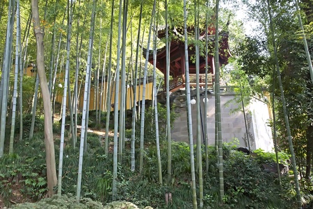 Traditional chinese pavilion in bamboo mountain garden のeditorial素材