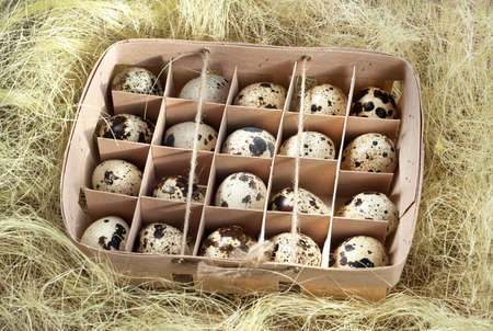 Quail eggs in wooden box on hay backgroundの写真素材
