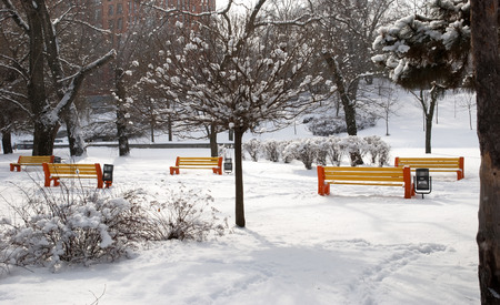 Empty benches in the winter snowy parkの写真素材