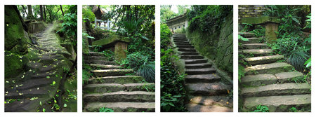 Set of pictures with ancient stone stairs with green moss in a mountain forest