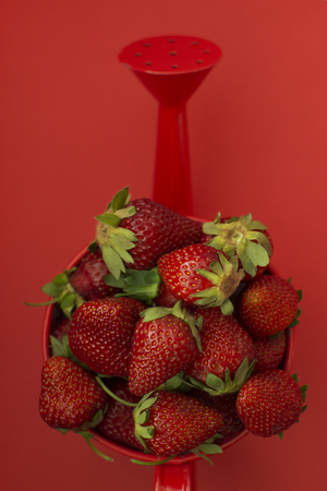Strawberries in a watering can.の写真素材
