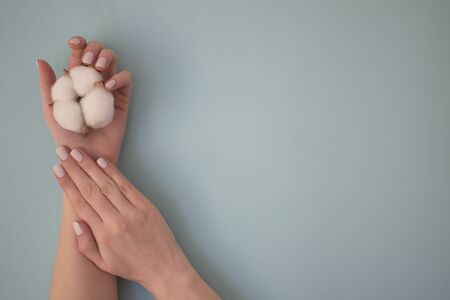 Two hands with manicure in pastel pink colors on a blue background. Hand care, hygiene. Spa treatment for women. Layout for advertising design. Delicate cotton flower in the hands.の写真素材