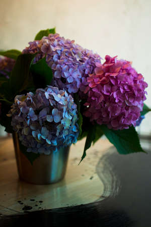 Blossoming flower bouquet of fresh Hydrangea on table. Bunch of blue, pink hydrangeas. Tender fluffy...