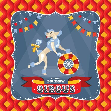 Circus card with a poodle vector illustrationのイラスト素材