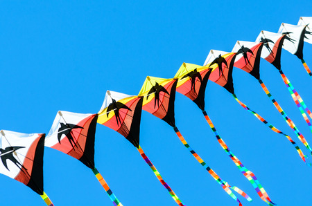 kite in the blue sky 02の写真素材