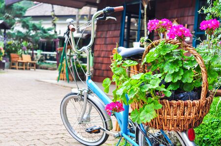 Bicycle and flower for garden design の写真素材