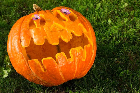 A very big hollowed-out pumpkin lying on a green meadowの写真素材