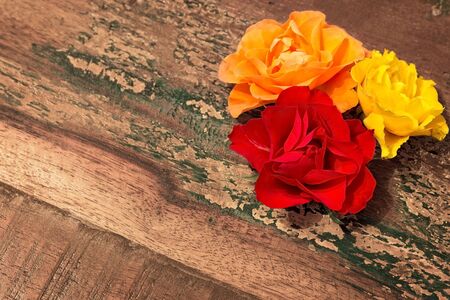 Yellow, orange and red roses on a wooden backgroundの写真素材