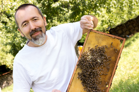 A beekeeper holds a honeycomb full of bees in his hand