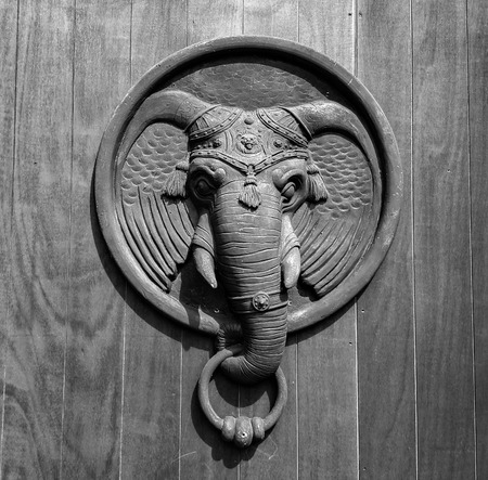 Mystic elehant door knockerの写真素材