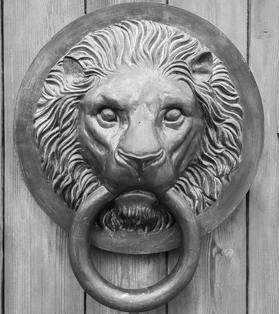 Lion door Knocker black / whiteの写真素材