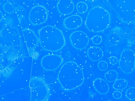 The picture represents ice crystals under the microscope, using the 10x objective.
