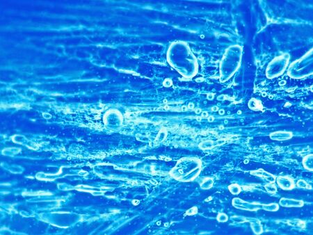 Frozen bubbles under the microscope.の写真素材