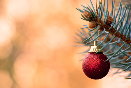 Red ornament 2の写真素材