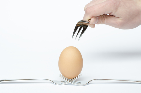 eggs on a pack and white backgroundの写真素材