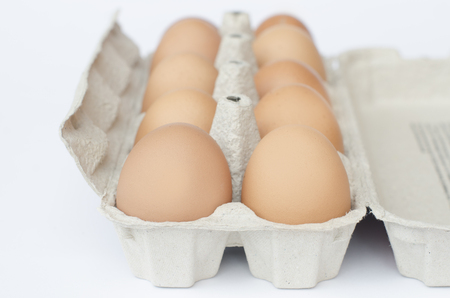 eggs on a pack and white background