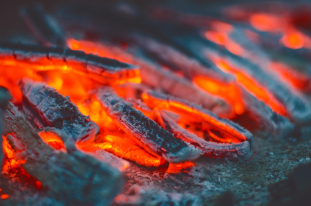 wood burning. Fire flames and sparks on a dark background.の写真素材