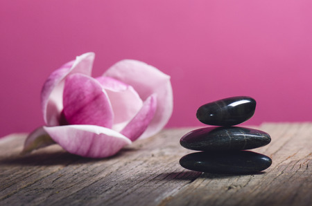 Black stone treatment. Spa and wellness concept. One pink flower on a wooden table and pink background. Lovely flowers. Festive greeting card. Pastel color. Mother´s day. Spring.の写真素材