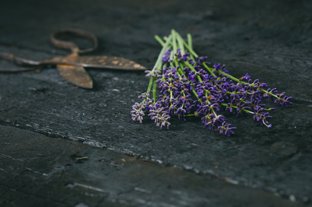Lavender flowers, rosemary, mint, thyme, melissa with old scissors on a black wooden table. Burnt wood. Spa and cosmetic or cooking background.の写真素材