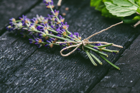 Lavender flowers, rosemary, mint, thyme, melissa with old scissors on a black wooden table. Burnt wood. Spa and cosmetic or cooking background.の写真素材