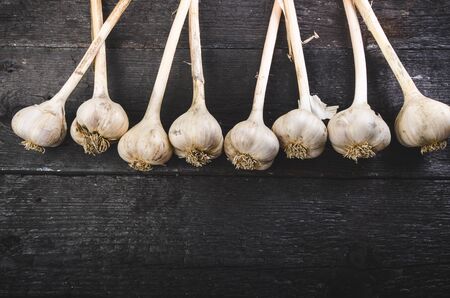 Cloves of garlic on a wooden black table. Fresh garlic bulb with iron garlic press. Vintage background. Farmer. Medicine and healthy. Traditional medicine.の写真素材