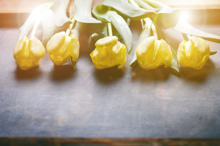 Yellow tulip flowers on a blackboard background with a copy space for a text. Top of view. Natural background. Valentines giftの写真素材