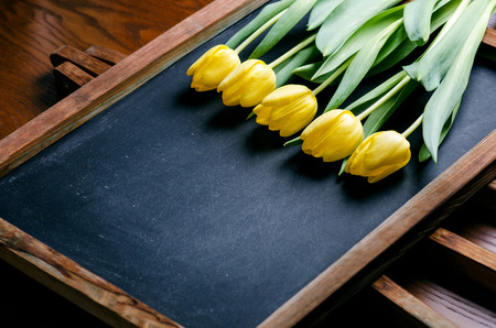 Yellow tulip flowers on a blackboard background with a copy space for a text. Top of view. Natural...