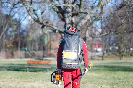 Arborist man cutting a branches with chainsaw and throw on a ground. The worker with helmet working at height on the trees. Lumberjack working with chainsaw during a nice sunny day. Tree and natureの写真素材