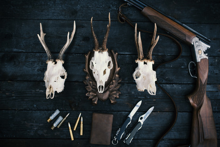 Professional hunters equipment for hunting. Rifle, knives, trophy sculs, ammunition, and others on a...