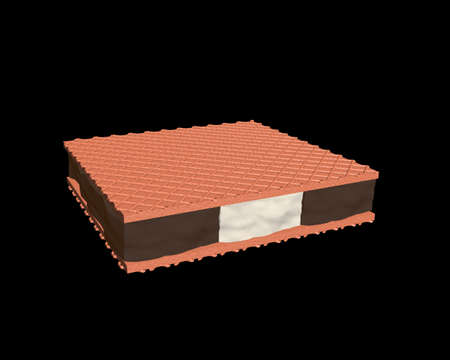 WAFERS FOR BAKERY 3D ILLUSTRATIONの写真素材
