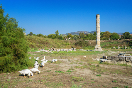 Temple of Artemis ruins - one of the seven wonder of the ancient world - Selcuk, Turkey.の写真素材