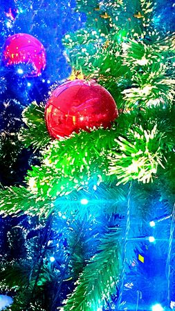 Red ball hanging on Christmas tree の素材