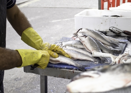 Fishermen cleaningの写真素材