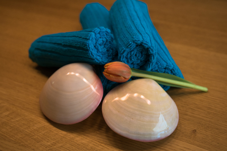 Lava Shell with Towels and Tulipの写真素材